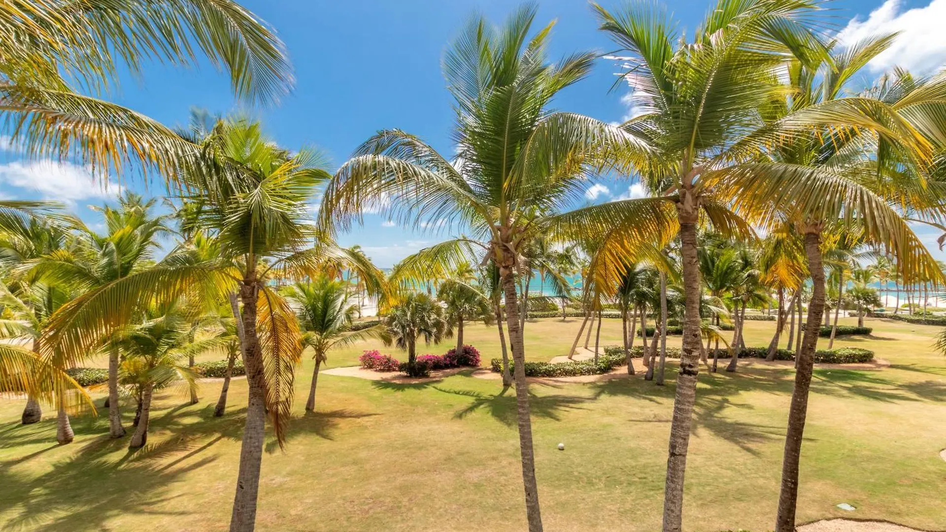 Apartment Aqm Beachfront Paradise! 3Bdr At Api Beach, Cap Cana Punta Cana